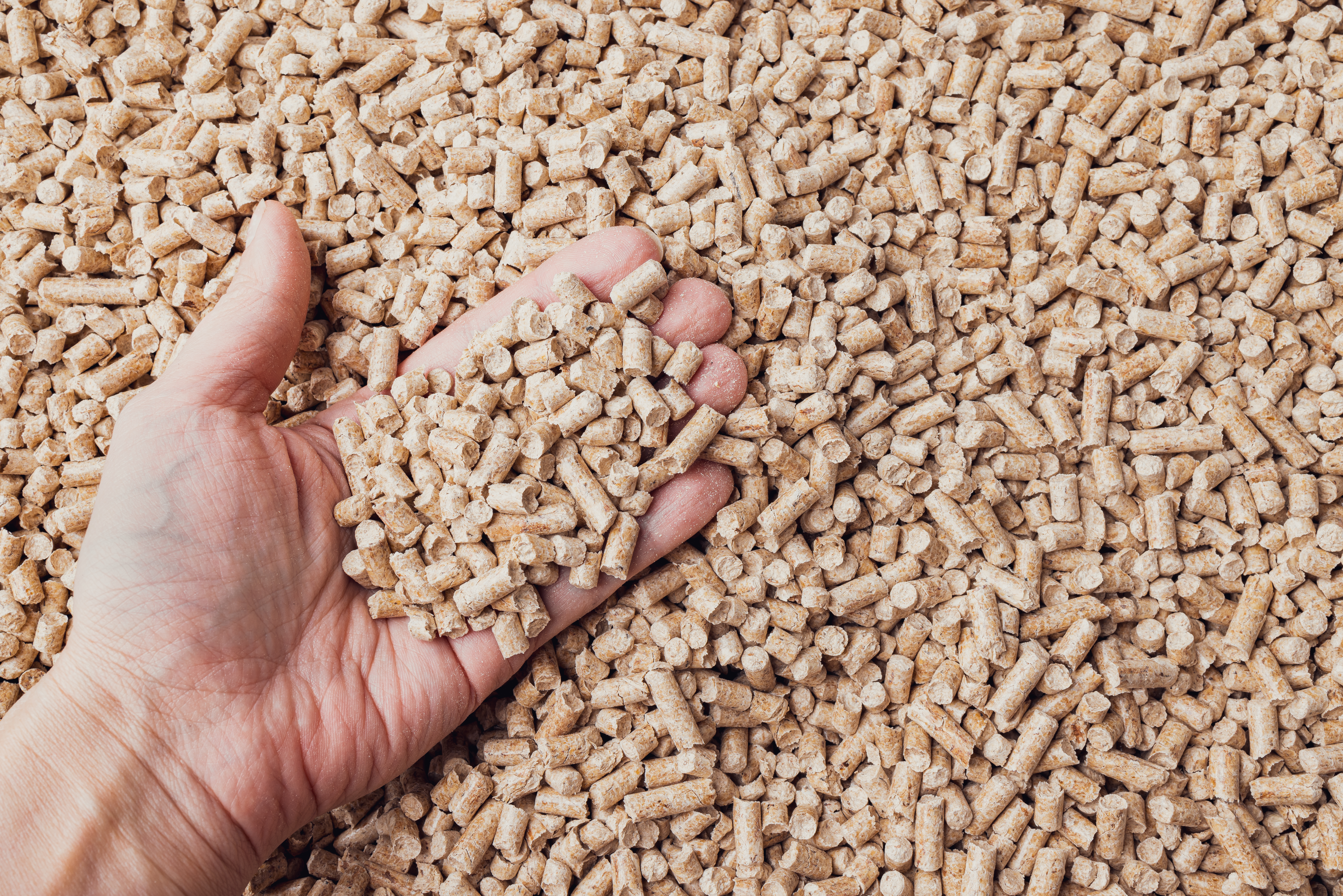 Woman hand full of wood pellets. Renewable energy